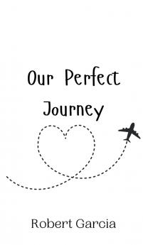 Our Perfect Journey