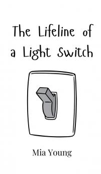 The Lifeline of a Light Switch