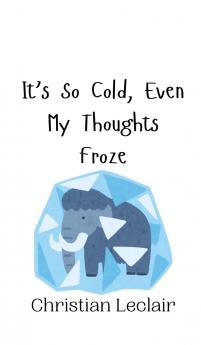 It's So Cold Even My Thoughts Froze