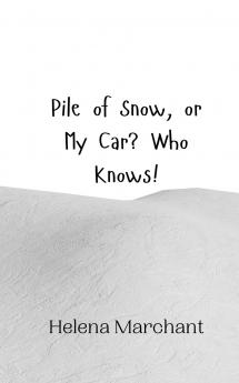 Pile of Snow or My Car? Who Knows!