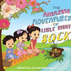 The Amazing Adventures of Little Right Sock