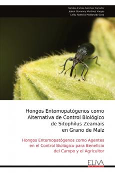 Hongos Entomopat��genos como Alternativa de Control Biol��gico de Sitophilus Zeamais en Grano de Ma��z