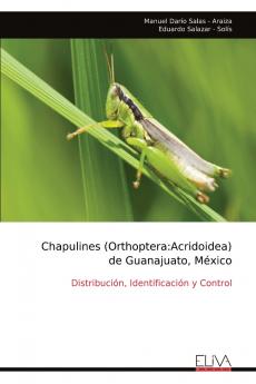 Chapulines (Orthoptera
