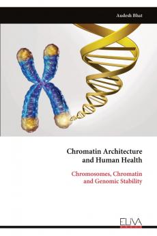 Chromatin Architecture and Human Health