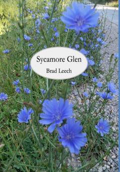 Sycamore Glen