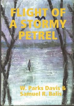 FLIGHT OF A STORMY PETREL