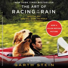 THE ART OF RACING IN THE RAIN