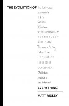 EVOLUTION OF EVERYTHING