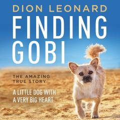 FINDING GOBI (MAIN EDITION)