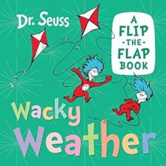 WACKY WEATHER: A flip-the-flap book