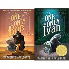 THE ONE AND ONLY BOX SET