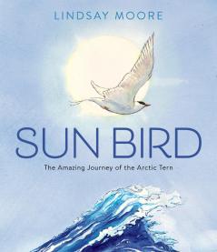 SUN BIRD (THE AMAZING JOURNEY OF THE ARCTIC TERN)