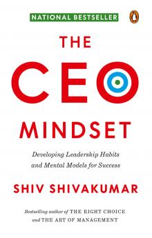CEO Mindset