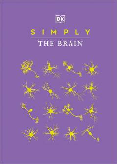 Simply The Brain