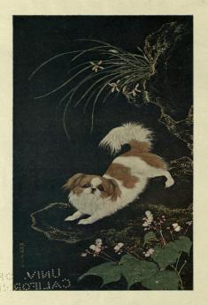 Dogs of China Japan in Nature and Art (Classic Reprint)
