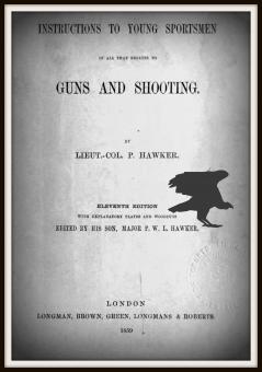 Instructions to Young Sportsmen in All That Relates to Guns and Shooting (Classic Reprint)