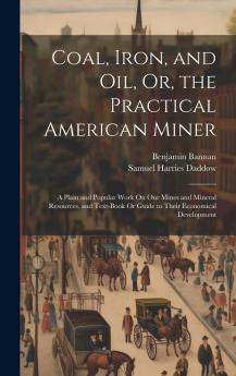 Coal Iron and Oil or the Practical American Miner: A Plain and Popular Work on Our Mines and Mineral Resources and a Text-Book or Guide to Their Economical Development; With Numerous Maps and Engravings (Classic Reprint)