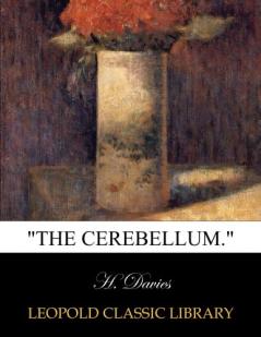 The Cerebellum