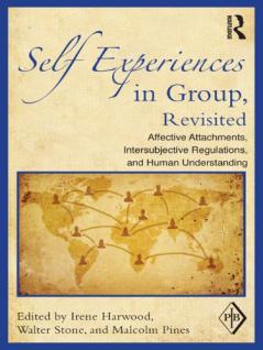 Self Experiences in Group Revisited