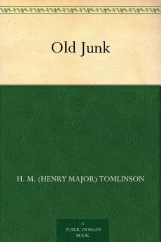 Old Junk (Classic Reprint)