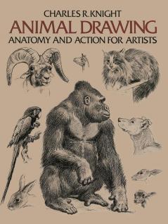 ANIMAL DRAWING: ANATOMY AND ACTION FOR ARTISTS