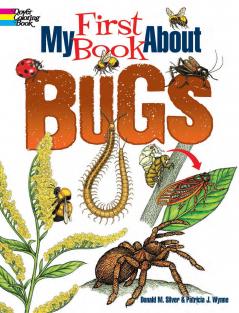 MY FIRST BOOK ABOUT BUGS