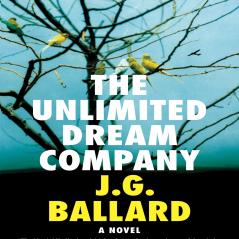 UNLIMITED DREAM COMPANY