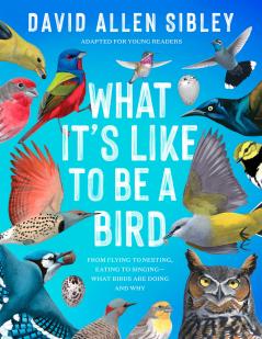 What It's Like to Be a Bird (Adapted for Young Readers): From Flying to Nesting Eating to Singing--What Birds Are Doing and Why