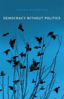 Democracy without Politics