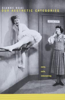 Our Aesthetic Categories