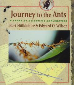 Journey to the Ants