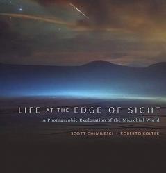 LIFE AT THE EDGE OF SIGHT