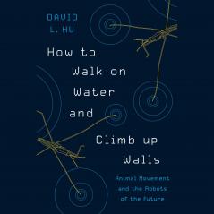 How to Walk on Water and Climb Up Walls