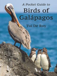 Pocket Guide to Birds of Galápagos
