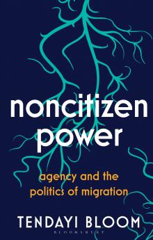 Noncitizen Power