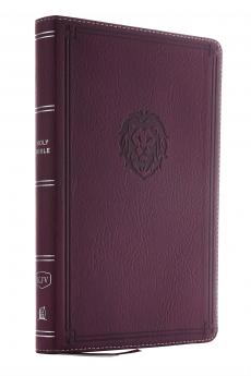 KJV Thinline Bible Youth Edition Leathersoft Purple Red