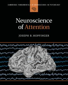 Neuroscience of Attention