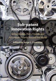Sub-Patent Innovation Rights