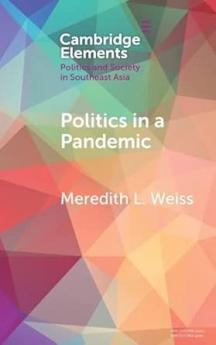 Politics in a Pandemic
