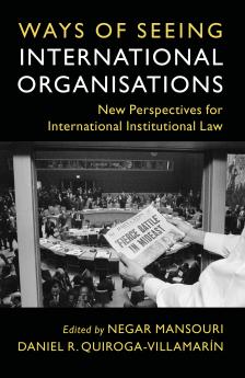 Ways of Seeing International Organisations