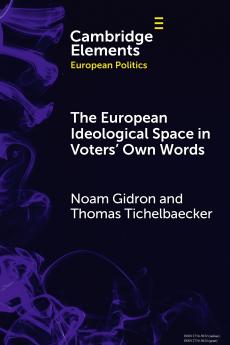 The European Ideological Space in Voters' Own Words