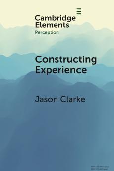 Constructing Experience