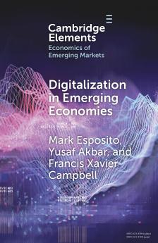 Digitalization in Emerging Economies