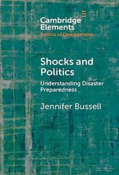 Shocks and Politics