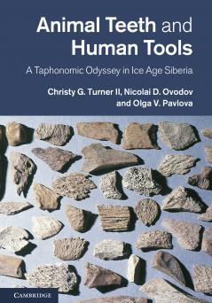 Animal Teeth and Human Tools