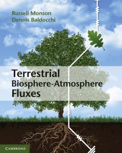 Terrestrial Biosphere-Atmosphere Fluxes