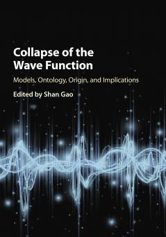 Collapse of the Wave Function