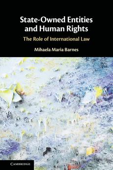 State-Owned Entities and Human Rights