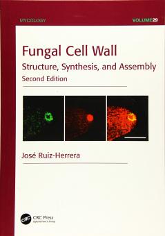 Fungal Cell Wall
