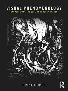 Visual Phenomenology